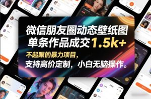 微信朋友圈动态壁纸图,单条作品成交1.5k+,不起眼的暴力项目,支持高价定制,小白无脑操作-阳知网创资源库