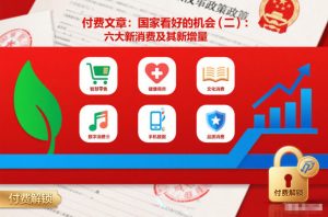 付费文章:国家看好的机会(二):六大新消费及其新增量-阳知网创资源库