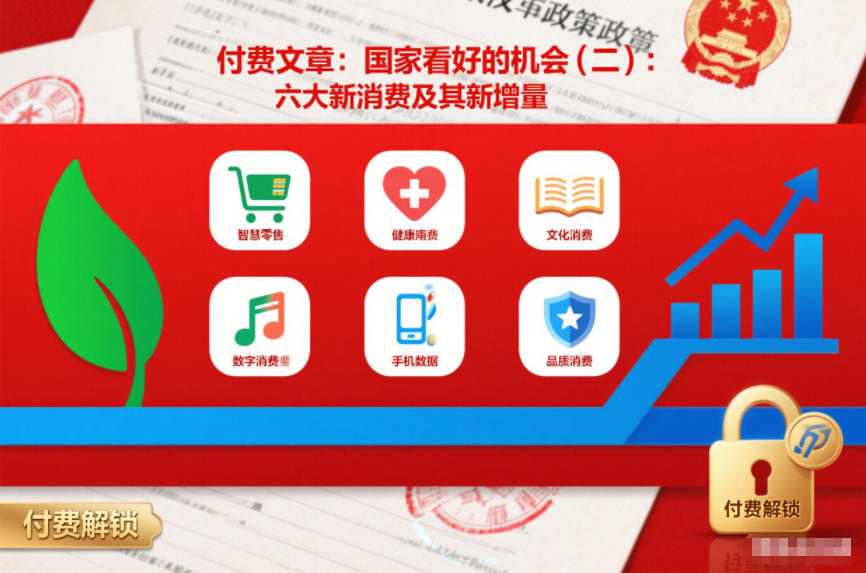 付费文章:国家看好的机会(二):六大新消费及其新增量-阳知网创资源库