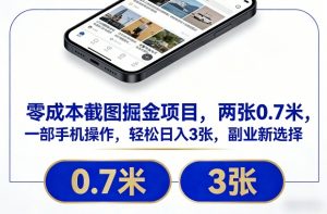 零成本截图掘金项目,两张0.7米,一部手机操作,轻松日入3张,副业新选择【揭秘】-阳知网创资源库