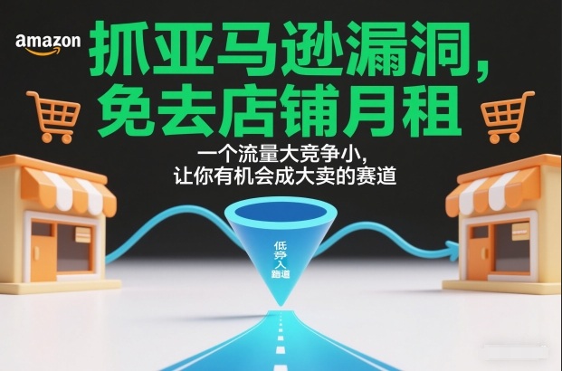 抓亚马逊漏洞,免去店铺月租,一个流量大竞争小,让你有机会成大卖的赛道-阳知网创资源库
