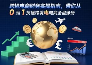 跨境电商财务实操指南,带你从0到1搞懂跨境电商全盘账务-阳知网创资源库