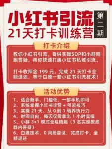 小红书引流21天打卡训练营第二期,助你快速打通小红书私域引流打粉-阳知网创资源库