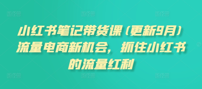 小红书笔记带货课,流量电商新机会,抓住小红书的流量红利(更新26年2月)-阳知网创资源库