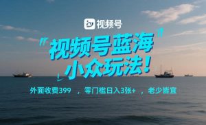 视频号蓝海小众玩法！外面收费399，零门槛日入3张+，老少皆宜-阳知网创资源库
