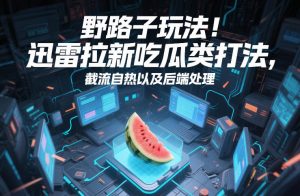 野路子玩法!迅雷拉新吃瓜类打法,截流自热以及后端处理-阳知网创资源库