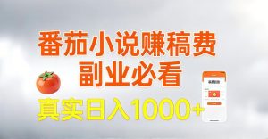 全网独家,番茄小说賺稿费邪修玩法,操作超级简单,单日收益1k+【揭秘】-阳知网创资源库