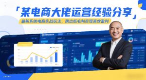 某电商大佬运营经验分享,最新系统电商实战玩法,跳出低毛利实现高效盈利-阳知网创资源库