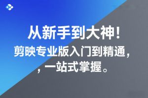 从新手到大神!剪映专业版入门到精通,一站式掌握-阳知网创资源库